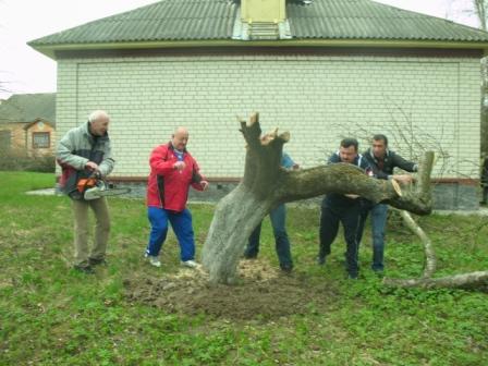 Земляцька толока у Пирогово ( яблуні вже за сорок...5(останні зусилля).jpg)